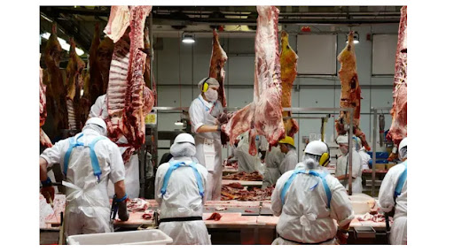 A Pathway to Permanency for Pacific Meat Workers