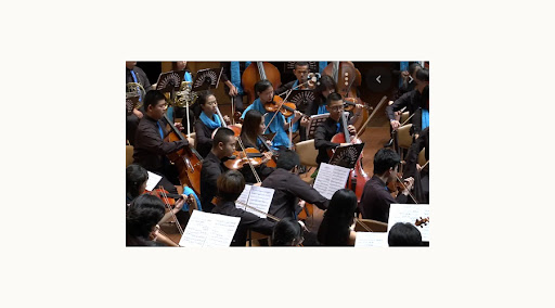Creation of a national youth orchestra