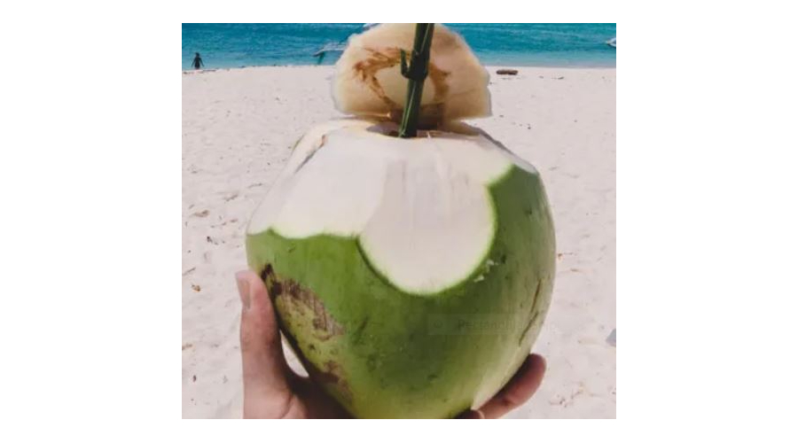 Exeptional benefits of coconut water and the utapped export potential for the Solomon Islands