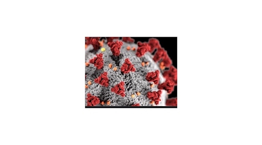 How long is Omicrons incubation period How it differs from Delta and other Covid variants