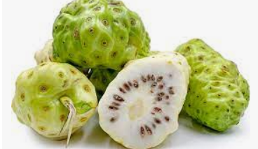 Local noni farmer claims losses of thousands of dollars